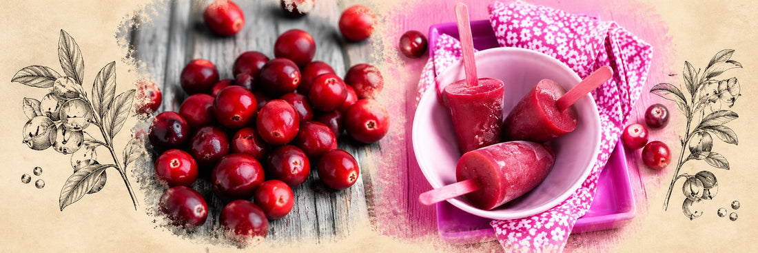 Cranberries fraîches et bâtonnets glacés aux cranberries dans un bol rose, sur une serviette fleurie