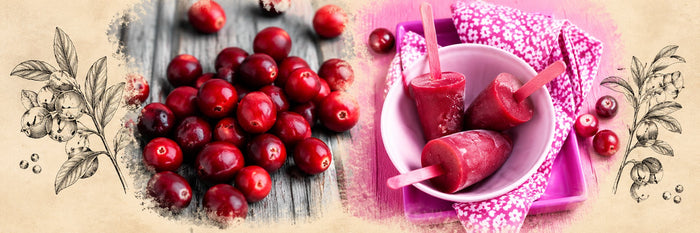 Cranberries fraîches et bâtonnets glacés aux cranberries dans un bol rose, sur une serviette fleurie