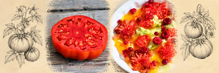 Tomate côtelée coupée, puis carpaccio de tomates aux groseilles et aux framboises
