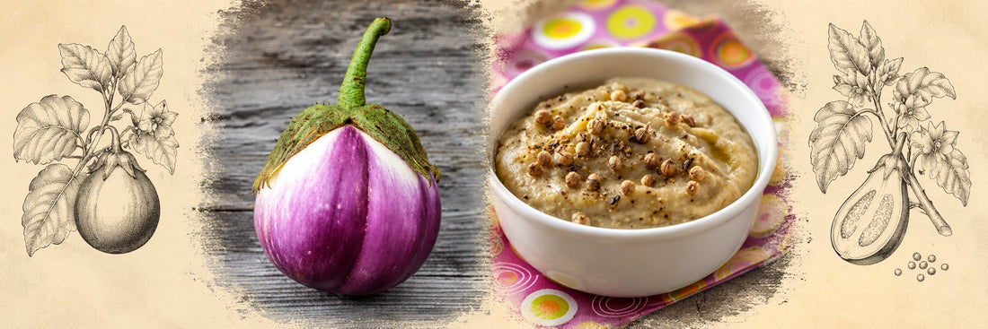 Aubergines Rosa Bianca, puis caviar d'aubergines à la coriandre