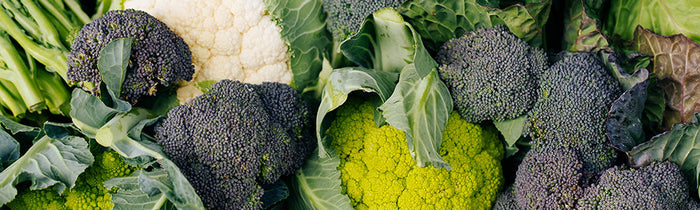 Différentes variétés de choux