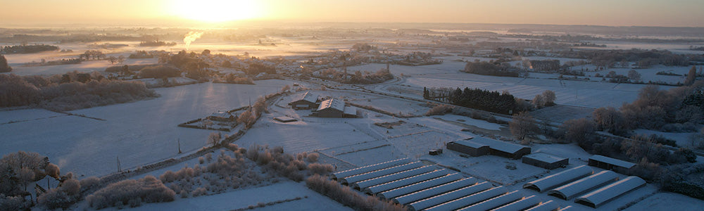 Terrain de La Ferme sous la neige