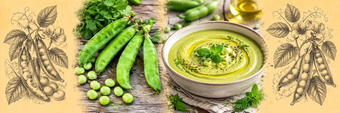 Petits pois en cosses, puis houmous de petits pois à la menthe et à l'huile d'olive