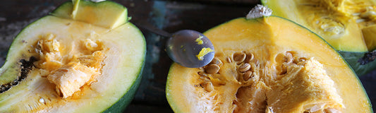 Extraction graines de courge