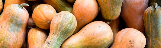 Courges musquées sucrine du Berry