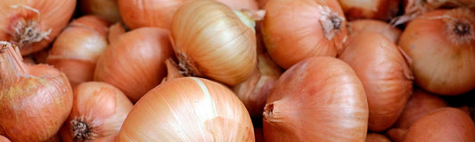 Bulbes d'oignons en vrac