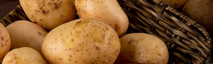 Pommes de terre dans un panier en osier