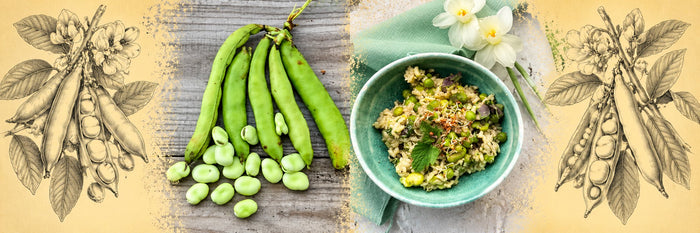 Cosses et fèves fraîches, puis risotto aux fèves et aux petits pois dans un bol turquoise