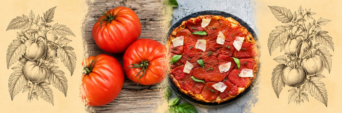Grosses tomates côtelées, puis tarte tatin à la tomate au basilic et aux copeaux de parmesan