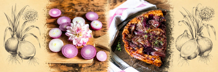Rondelles d'oignon rouge et dahlia, puis tarte tatin aux oignons rouges caramélisés au vinaigre balsamique
