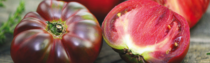 Différentes variétés de tomates