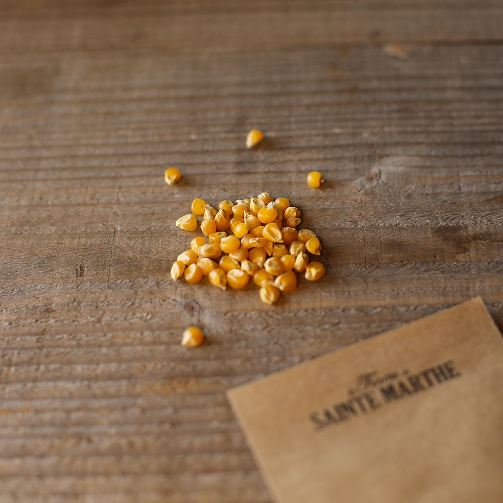 TOM THUMB POP CORN AB