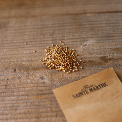 SMALL SEED MACHE VIT AB