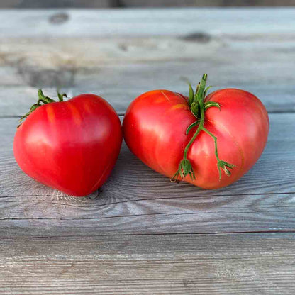 TOMATENHERZ AB