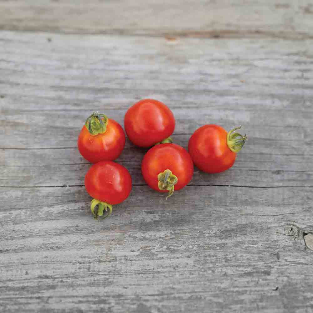 Kirschtomate AB