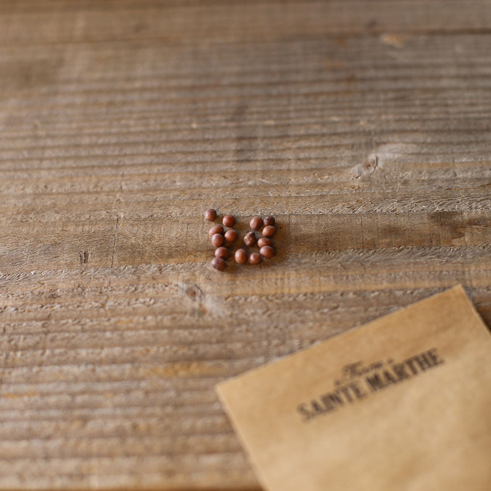 POIS NAIN PETIT PROVENCAL GRAIN ROND A ECOSSER NT