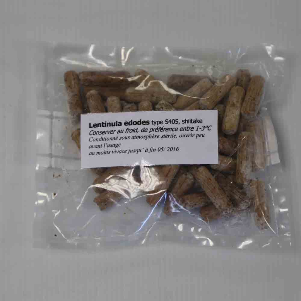 50 Knöchel – SHIITAKE AB