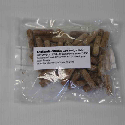 50 Knöchel – SHIITAKE AB
