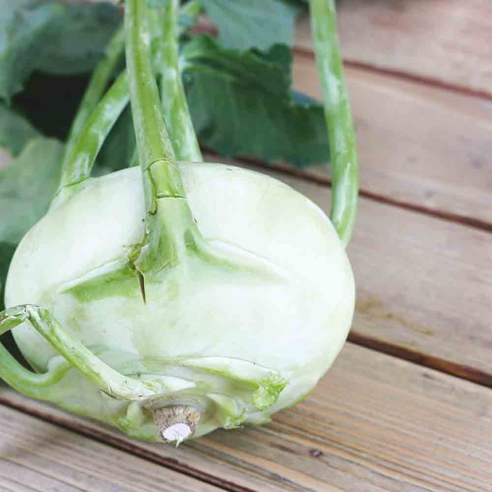 Kohlrabi NORIKO AB