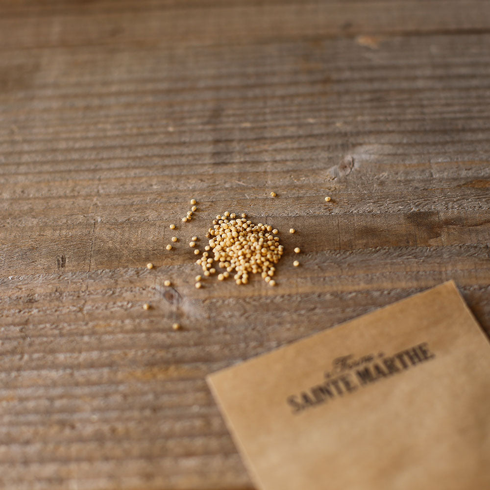 QUINOA AB