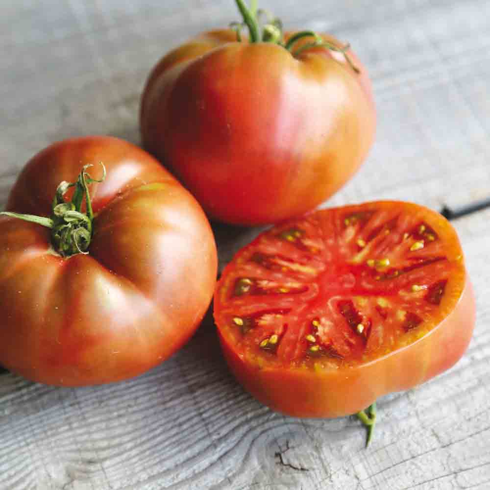 TOMATO CARBON AB