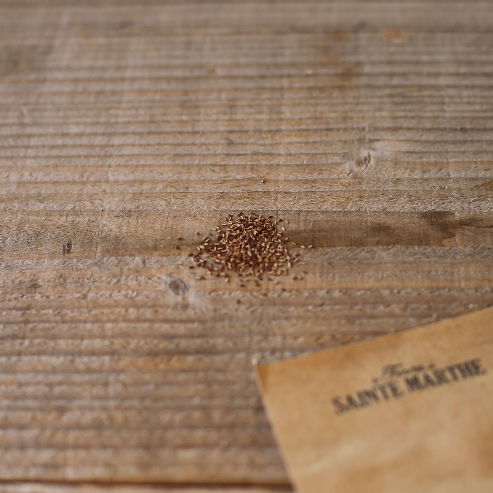 VERVEINE DE BUENOS AIRES AB 