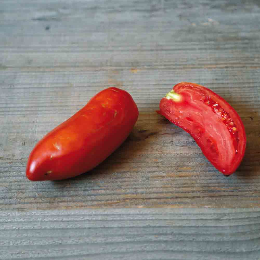TOMATENOPALKA AB