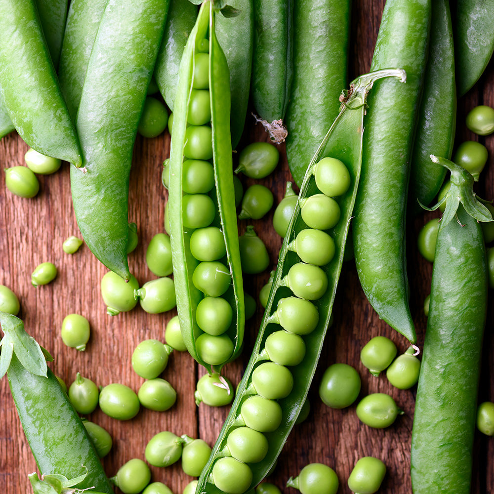 POIS A RAMES FIRST EARLY MAY GRAIN ROND A ECOSSER AB 