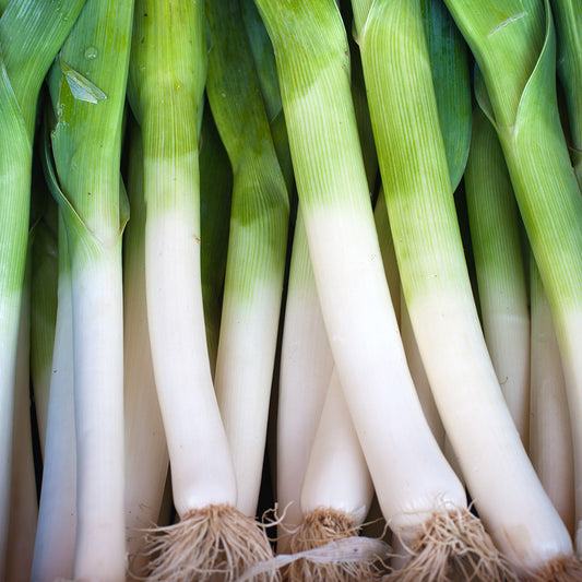 POIREAU DE GENNEVILLIERS 2 AB 