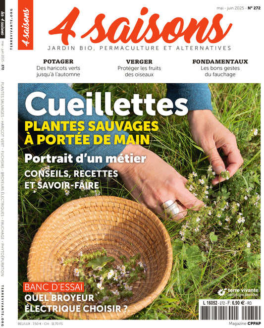 MAGAZINE 4 SAISONS - n272 CUEILLETTE SAUVAGE : Plantes à portée de main