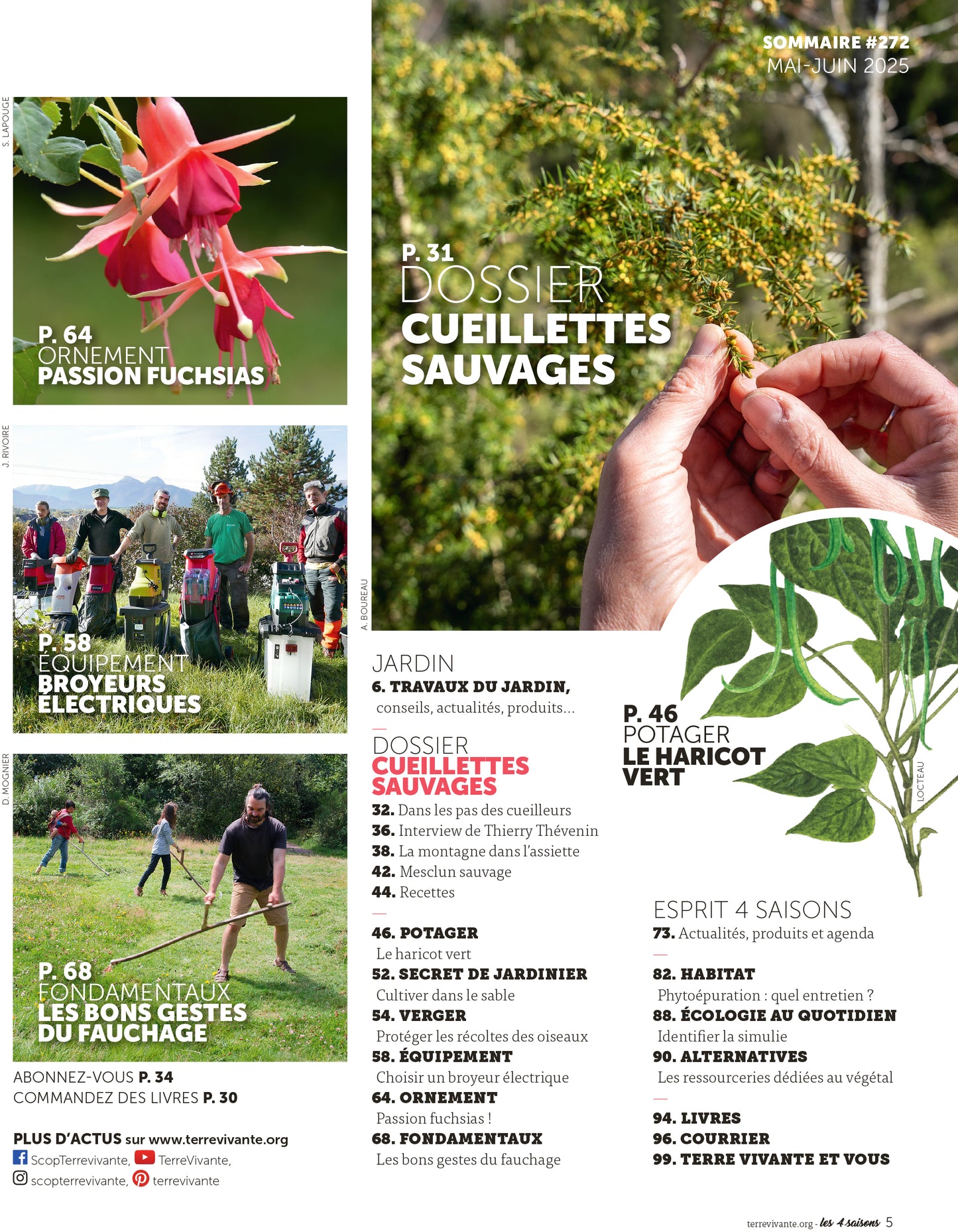 MAGAZINE 4 SAISONS - n272 CUEILLETTE SAUVAGE : Plantes à portée de main