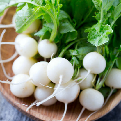 RADIS ROND BLANC PEARL AB 