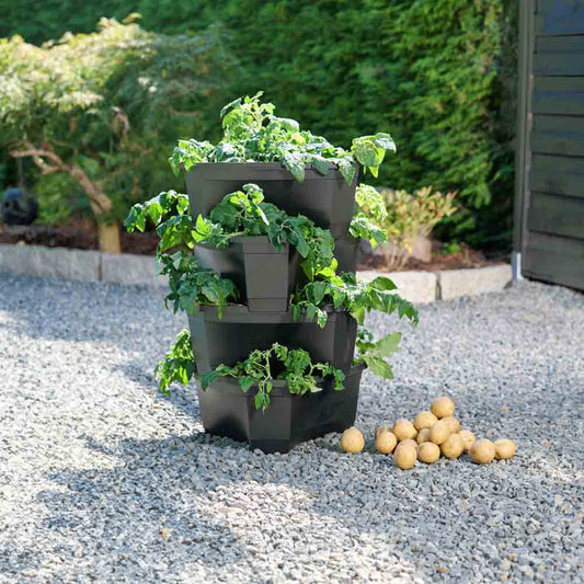 4-STOCKIGER KARTOFFELTURM
