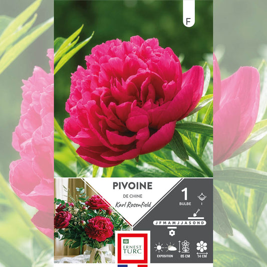 PIVOINE KARL ROSENFIELD 