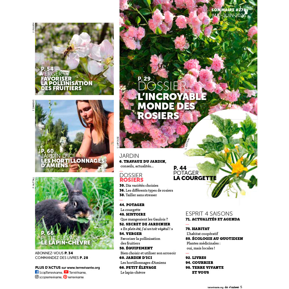 MAGAZINE 4 SAISONS - n°278 L'INCROYABLE MONDE DES ROSIERS 