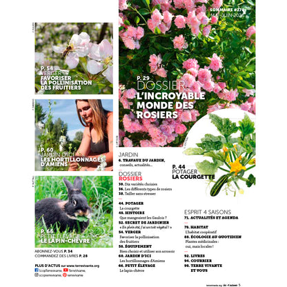 MAGAZINE 4 SAISONS - n°278 L'INCROYABLE MONDE DES ROSIERS 