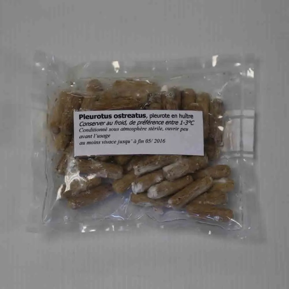 50 CHEVILLES - PLEUROTE EN FORME D´HUÎTRE AB 