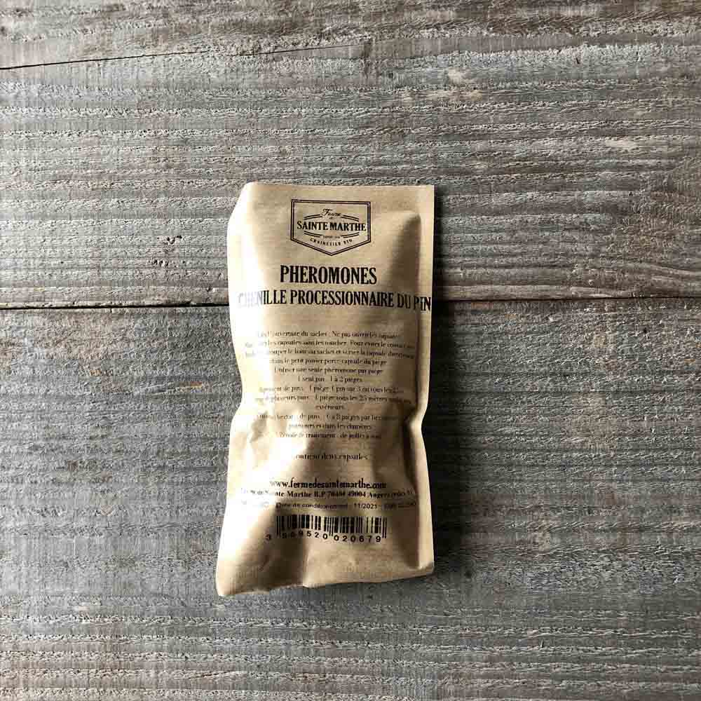 Pheromone gegen die Raupe des Kiefernprozessionärs