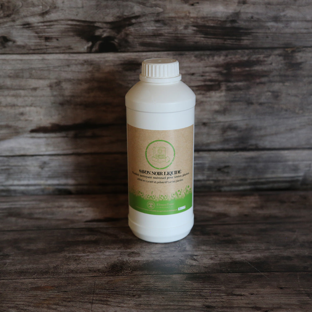 LIQUID BLACK SOAP