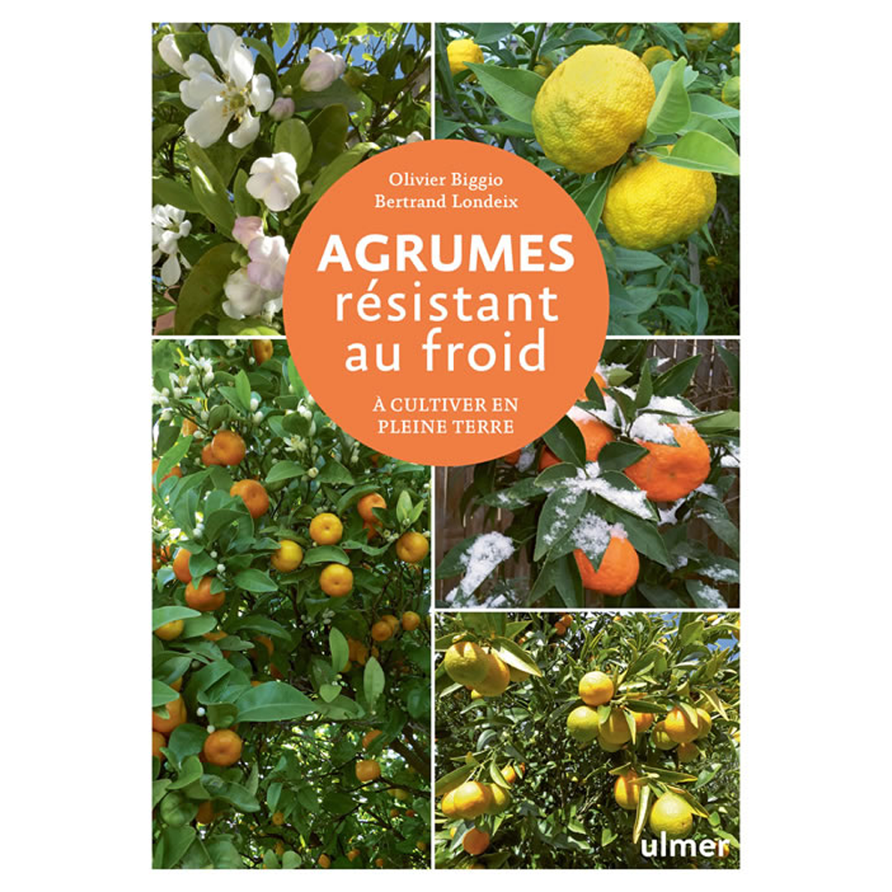 COLD-RESISTANT CITRUS FRUITS to be grown in open ground