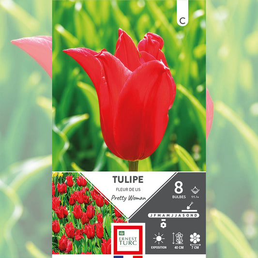 TULIPE FLEUR DE LIS PRETTY WOMAN 