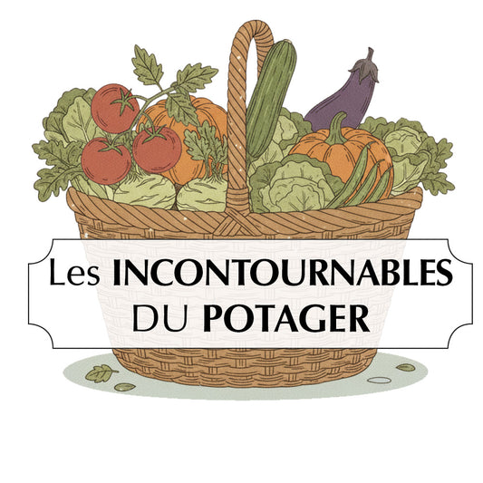 ASSORTIMENT DES INCONTOURNABLES AU POTAGER 