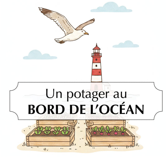 ASSORTIMENT POUR UN POTAGER AU BORD DE L'OCÉAN 