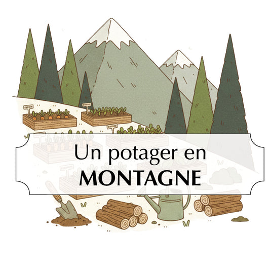 ASSORTIMENT POUR UN POTAGER EN MONTAGNE 