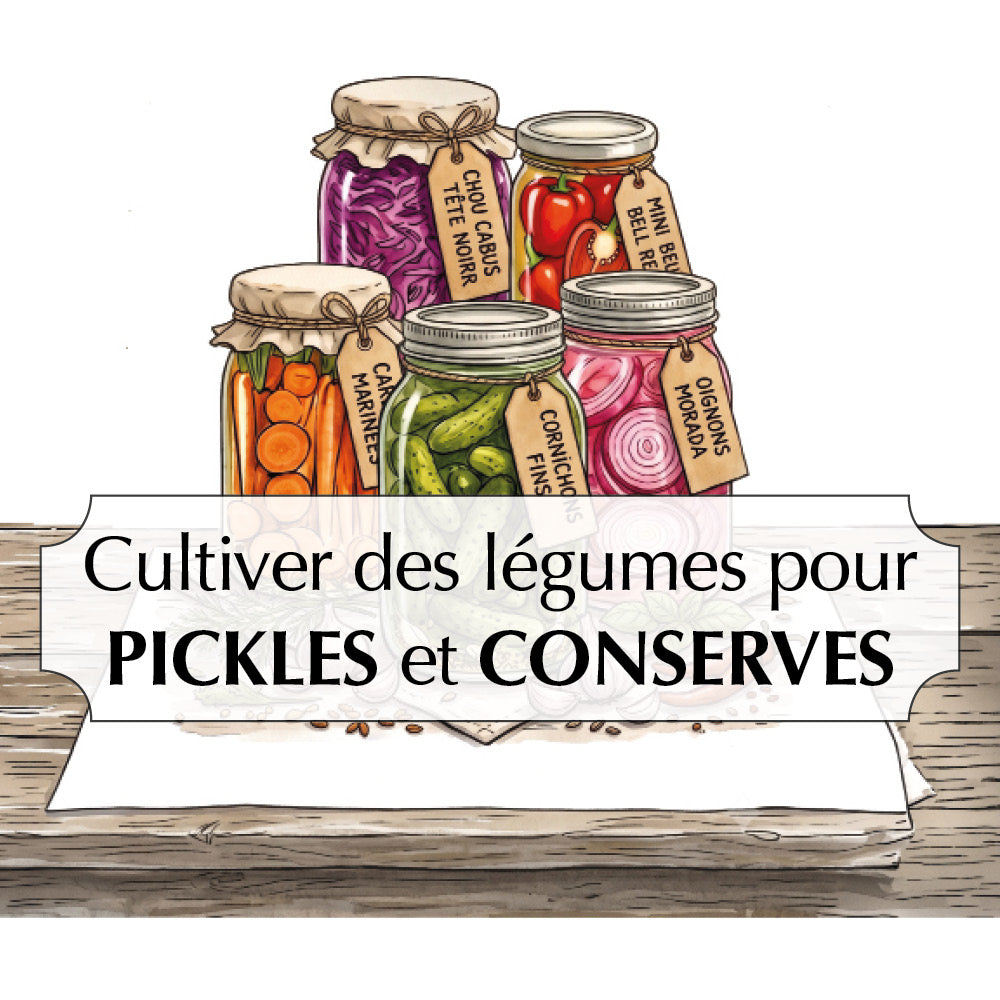 ASSORTIMENT CULTIVER DES LÉGUMES POUR PICKLES ET CONSERVES
