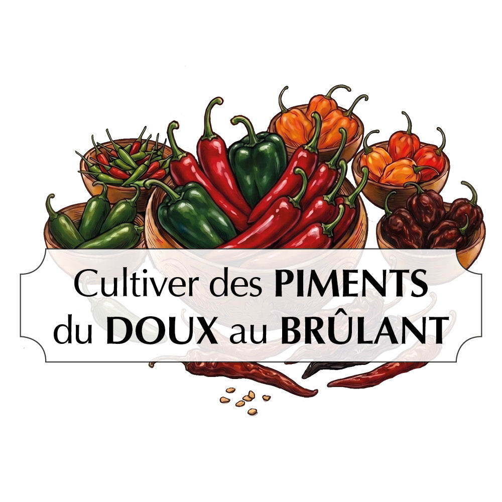 ASSORTIMENT CULTIVER DES PIMENTS, DU DOUX AU BRÛLANT