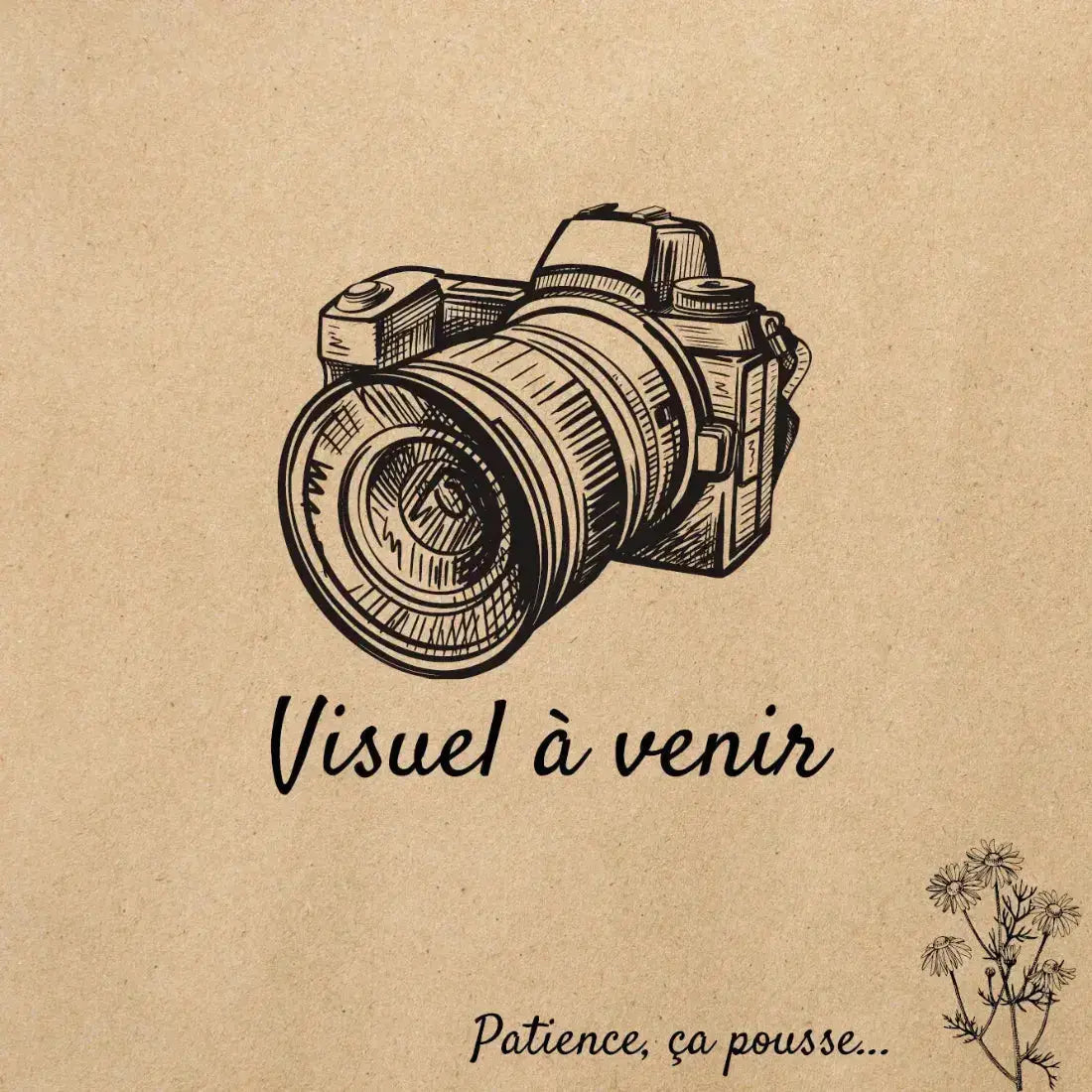 Visuel à venir
