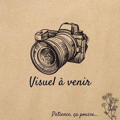 Visuel à venir