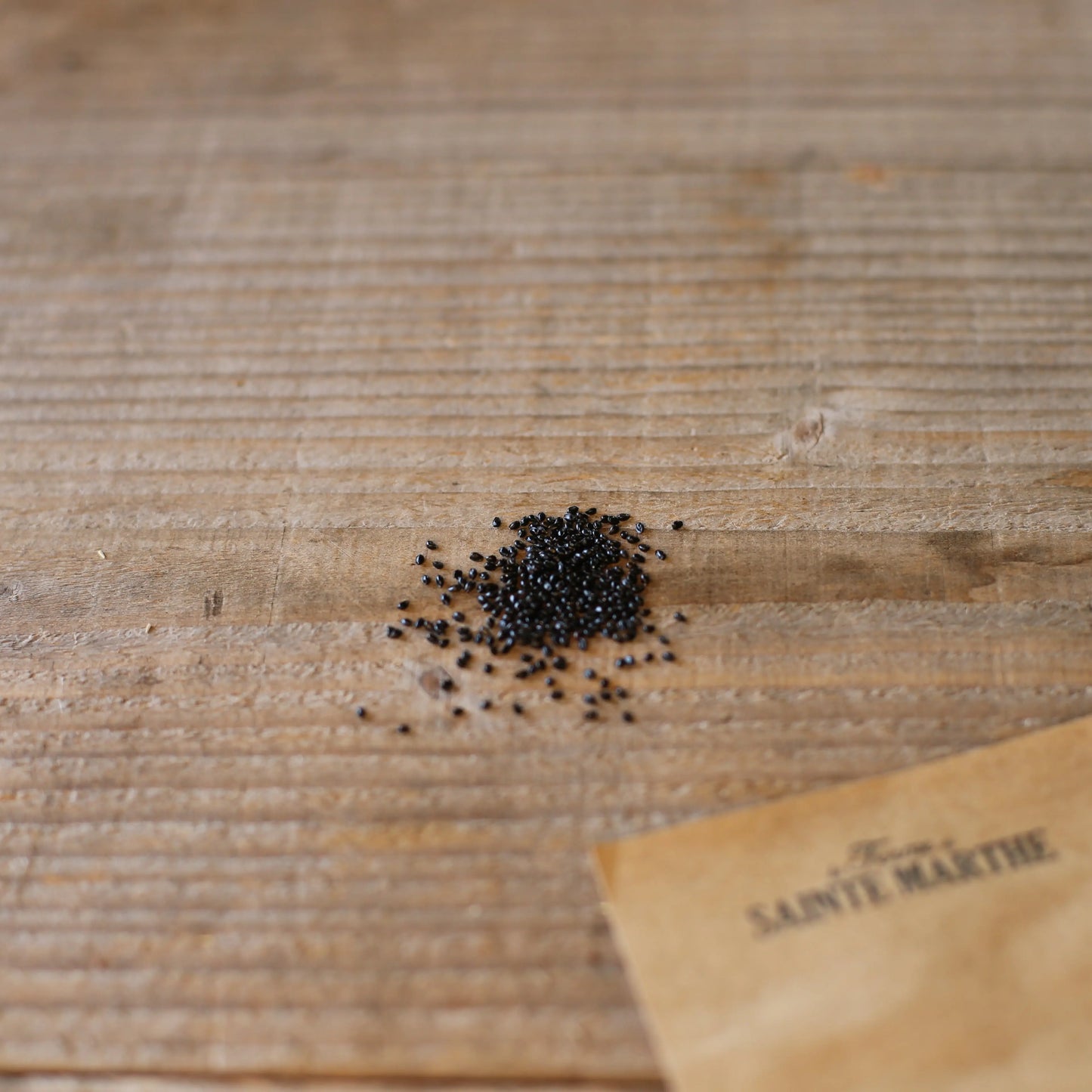 ANCOLIE NORA BARLOW AB 