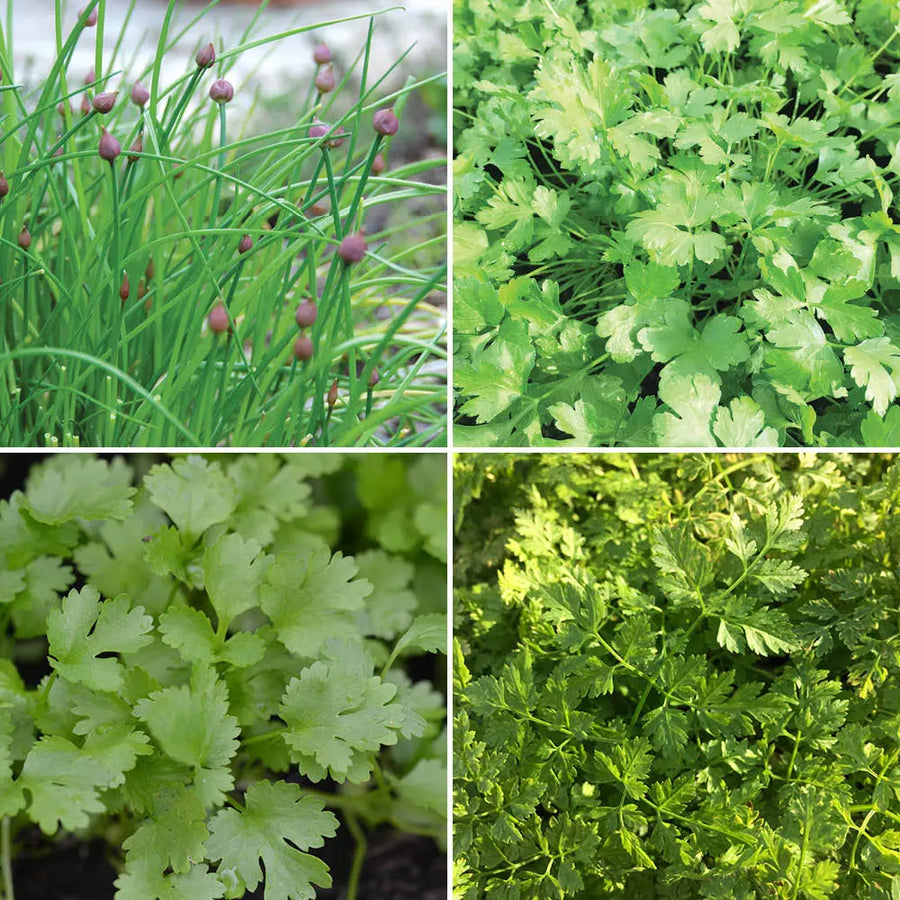 Aromates